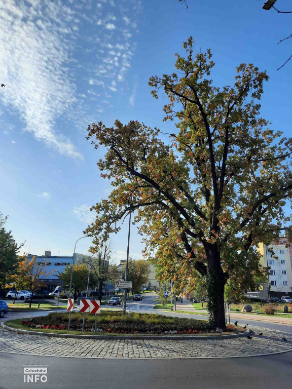 Spacer po Człuchowie, Park Luizy, Ulice, Jesień