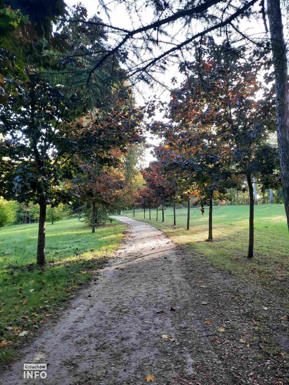 Spacer po Człuchowie, Park Luizy, Ulice, Jesień