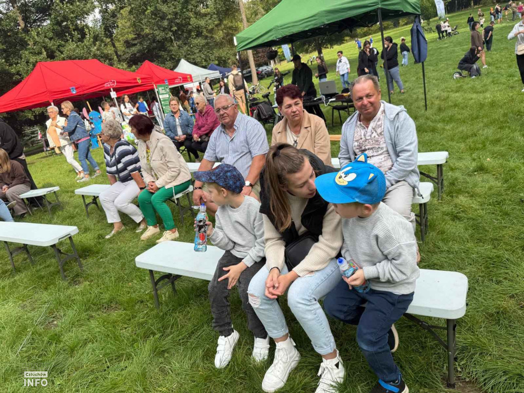 Zakończenie Lata z Wolontariatem [FOTORELACJA]
