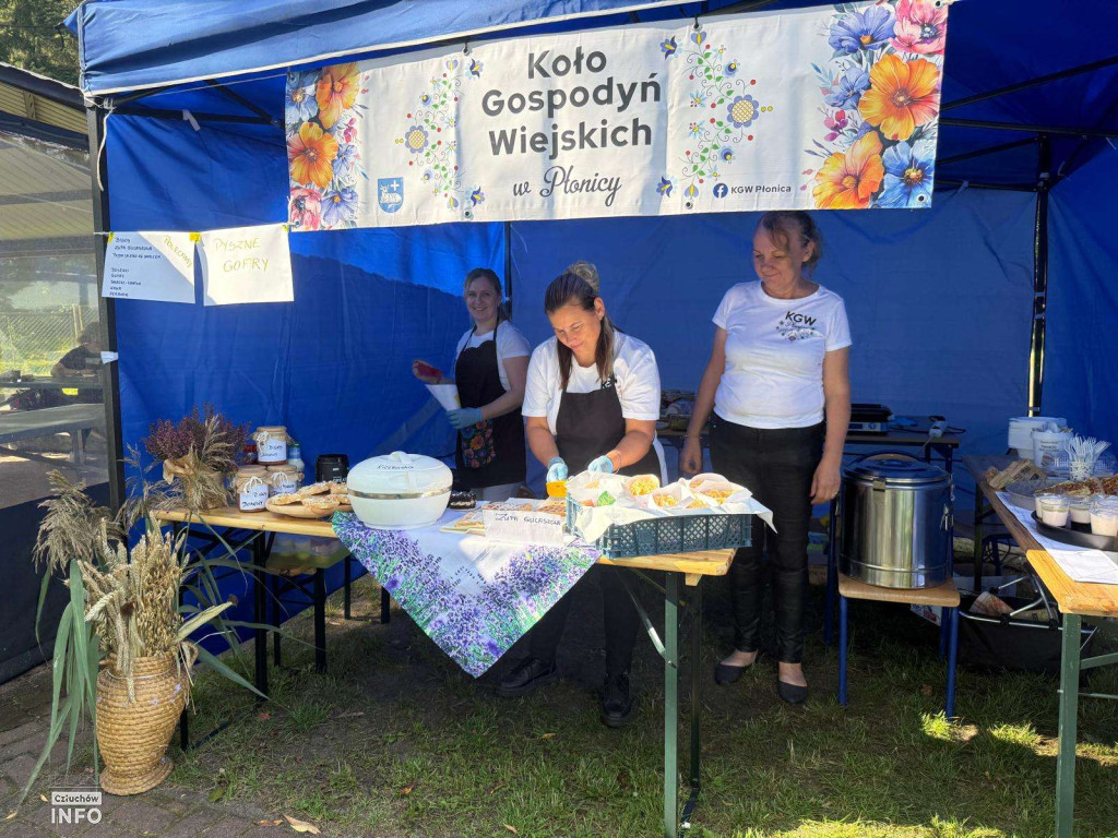 IV Konkurs Piosenki Żeglarskiej - zdjęcia