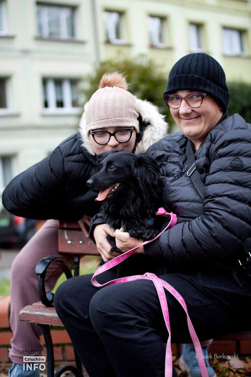 Cały Powiat dla Hospicjum – zdjęcia z akcji