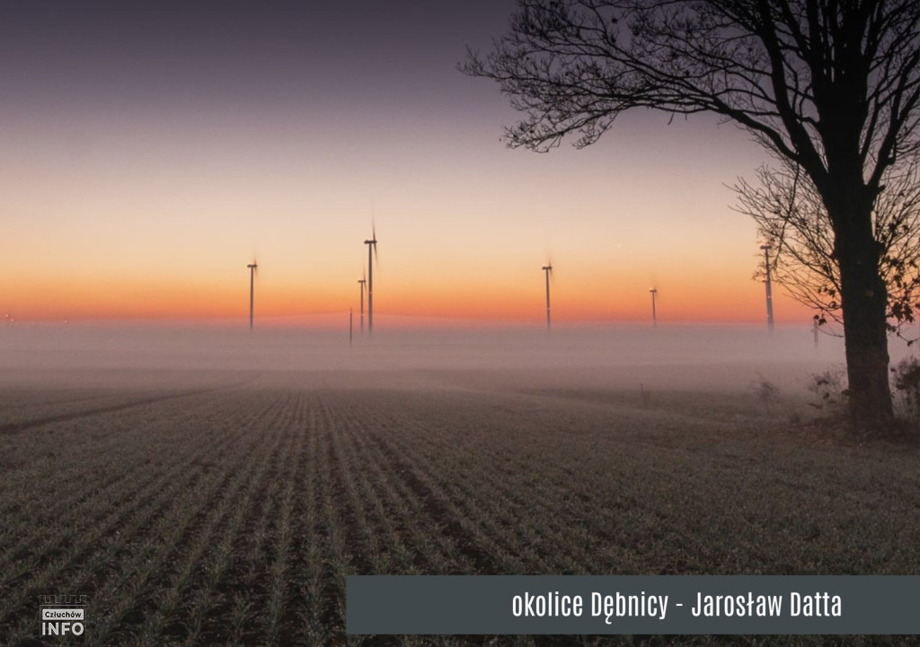 Konkurs „Gmina Człuchów na Fotografii 2025” – foto