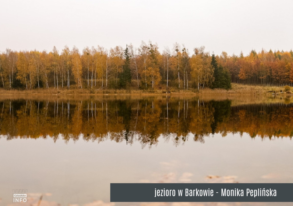 Konkurs „Gmina Człuchów na Fotografii 2025” – foto