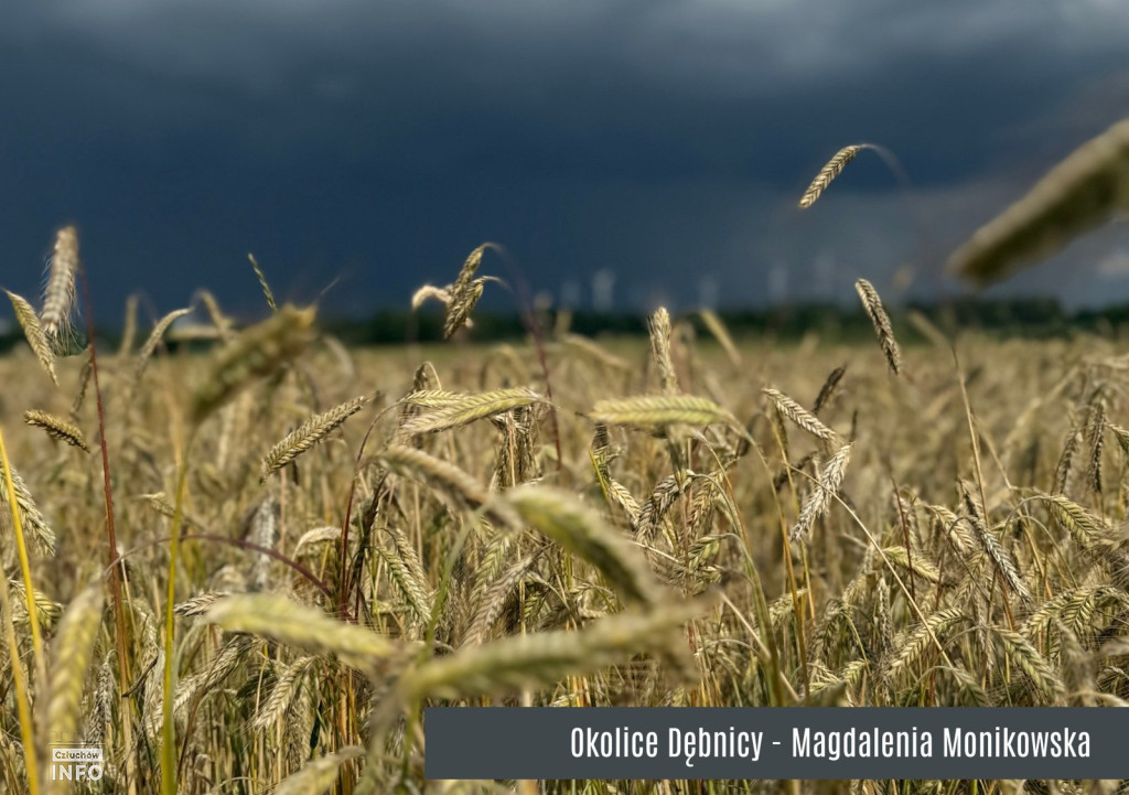 Konkurs „Gmina Człuchów na Fotografii 2025” – foto