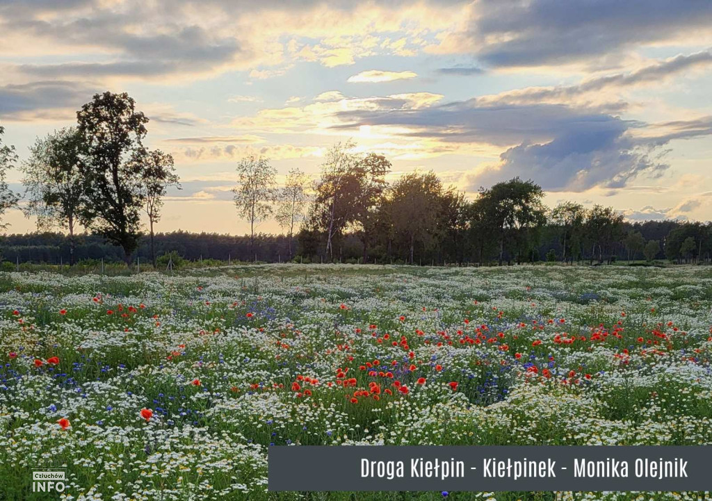 Konkurs „Gmina Człuchów na Fotografii 2025” – foto