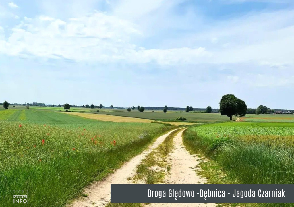 Konkurs „Gmina Człuchów na Fotografii 2025” – foto