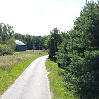 zdjecie ogloszenia