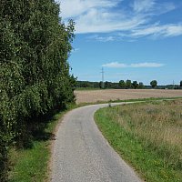 zdjecie ogloszenia