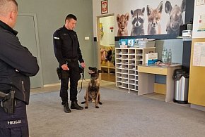 Policyjny pies odwiedził przedszkole. Była możliwość wejścia do radiowozu