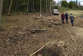 Posadzili 30 dębów nad jeziorem. Po majówce zebrali worki pełne śmieci
