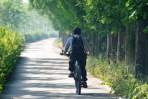 Ruszyli na rowery po alkoholu. Policja wystawiła mandaty po 2500 zł