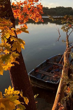 Konkurs „Gmina Człuchów na Fotografii 2025” – foto-302