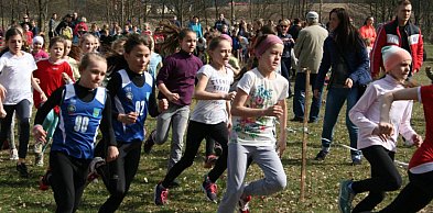 184 tys. zł na sport w 2026 roku. Gmina rozstrzygnęła konkurs ofert