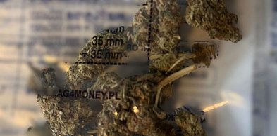 42-letni mężczyzna zatrzymany z marihuaną. Grozi mu do 3 lat więzienia