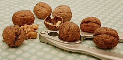 Groźny pestycyd w popularnych orzechach. Trwa wycofywanie ze sklepów