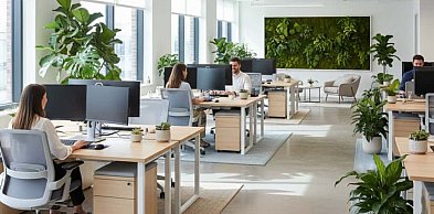 Meksyk karta sim – jak wybrać najlepszą kartę SIM do korzystania z internetu i poł