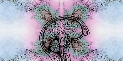 Spotkanie o wsparciu dzieci z ADHD i ASD. Trwają zapisy