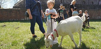 Majówkowy piknik rodzinny przy zamku rozpoczął sezon letni