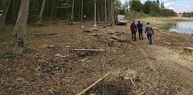 Posadzili 30 dębów nad jeziorem. Po majówce zebrali worki pełne śmieci