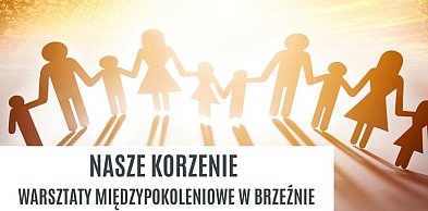 „Nasze korzenie" – warsztaty dla mieszkańców Brzeźna z dotacją 4 tys. zł
