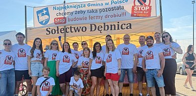 Ciężkie oskarżenia i wojna na podpisy w Dębnicy. Kulisy gry o fermę kurzą