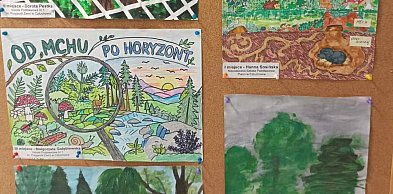 Wybrano najlepsze prace. Przed laureatami finał w Parku Luizy