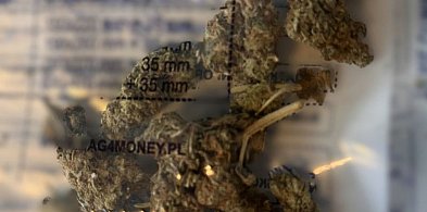 42-letni mężczyzna zatrzymany z marihuaną. Grozi mu do 3 lat więzienia