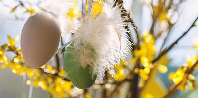 Florystyczne warsztaty wielkanocne dla młodzieży