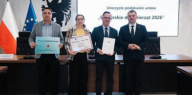 26 tys. zł dla Przechlewa na walkę z bezdomnością zwierząt