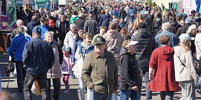Wiosenne Targi Ogrodnicze w Przechlewie. Ponad 200 wystawców i atrakcje