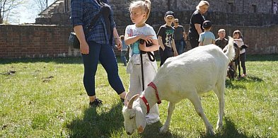 Majówkowy piknik rodzinny przy zamku rozpoczął sezon letni