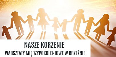 „Nasze korzenie" – warsztaty dla mieszkańców Brzeźna z dotacją 4 tys. zł