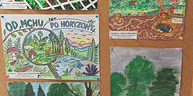 Wybrano najlepsze prace. Przed laureatami finał w Parku Luizy