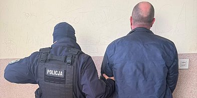 Nielegalna uprawa konopi zlikwidowana w gminie Debrzno-6879