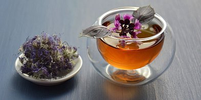 Seniorzy w Debrznie spotkają się na cyklu warsztatów inspirowanych naturą