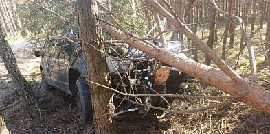 Pijany kierowca bez uprawnień uderzył w drzewo pod Debrznem