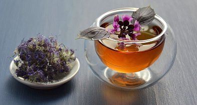 Seniorzy w Debrznie spotkają się na cyklu warsztatów inspirowanych naturą