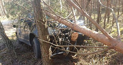 Pijany kierowca bez uprawnień uderzył w drzewo pod Debrznem