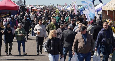 Rekordowe targi ogrodnicze w Przechlewie. 216 wystawców i tysiące gości