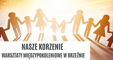 „Nasze korzenie" – warsztaty dla mieszkańców Brzeźna z dotacją 4 tys. zł