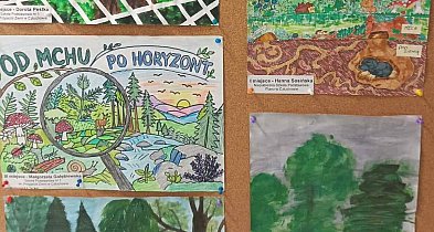 Wybrano najlepsze prace. Przed laureatami finał w Parku Luizy