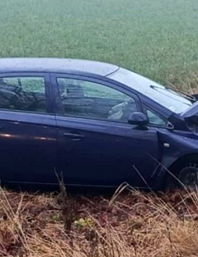 Dwie osoby ranne w wypadku na DW 201 przed miejscowością Bińcze-6981