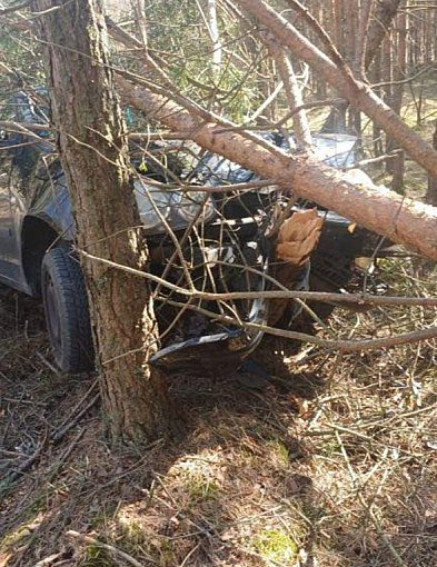 Pijany kierowca bez uprawnień uderzył w drzewo pod Debrznem
