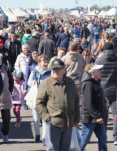 Wiosenne Targi Ogrodnicze w Przechlewie. Ponad 200 wystawców i atrakcje