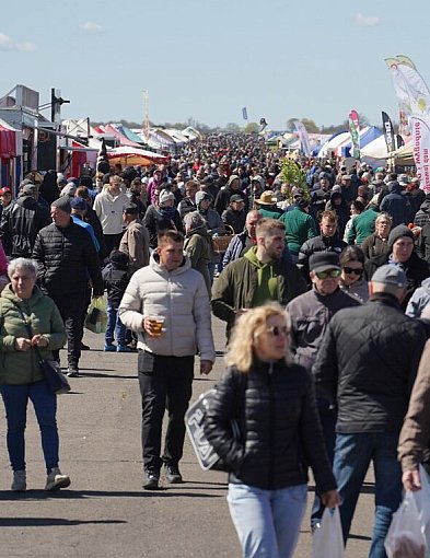 Rekordowe targi ogrodnicze w Przechlewie. 216 wystawców i tysiące gości