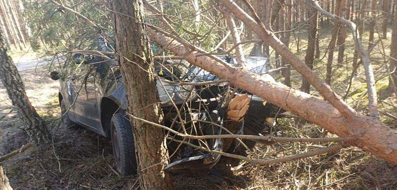 Pijany kierowca bez uprawnień uderzył w drzewo pod Debrznem