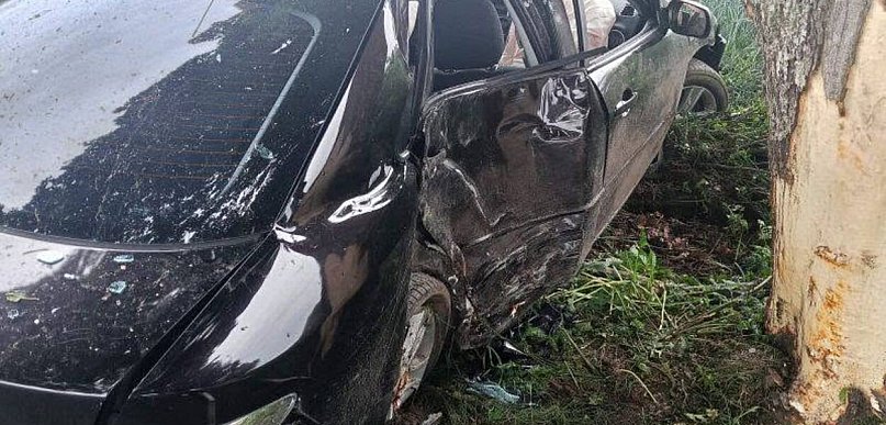Auto uderzyło w drzewa między Wronkowem a Czarnem. Kierowca w szpitalu