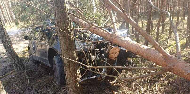 Pijany kierowca bez uprawnień uderzył w drzewo pod Debrznem