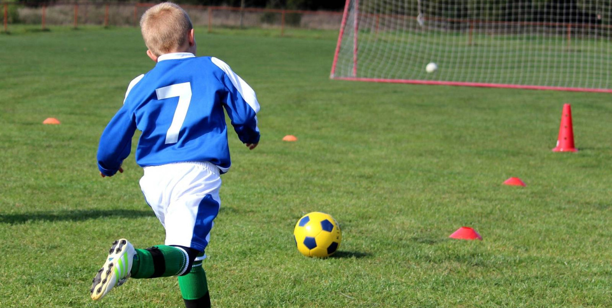 Źródło: Gmina Rzeczenica