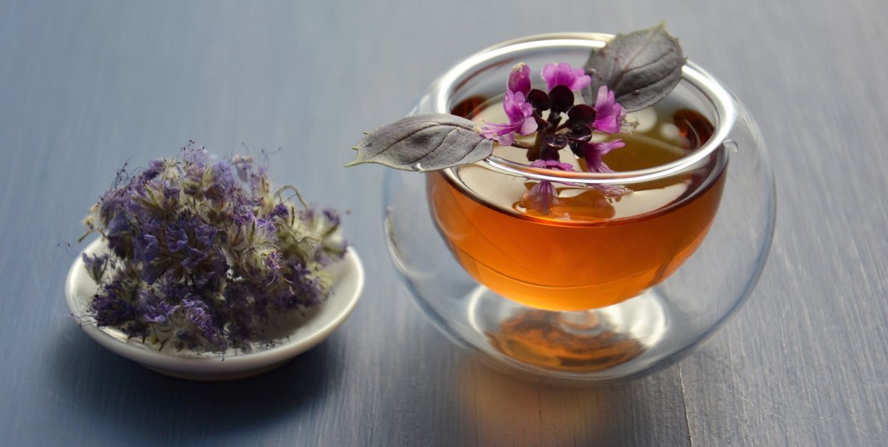 Seniorzy w Debrznie spotkają się na cyklu warsztatów inspirowanych naturą